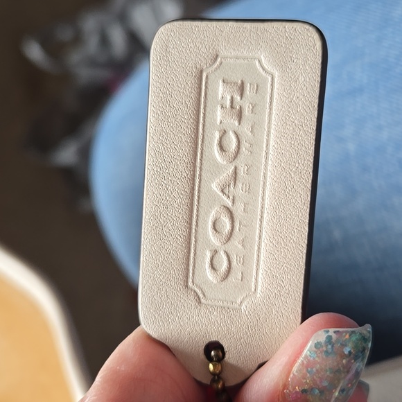 Rambler Crossbody With Varsity Stripe, EUC - Picture 9 of 12